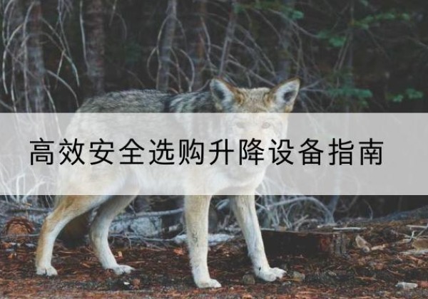 西林升降货梯厂家推荐-*安全选购升降设备指南