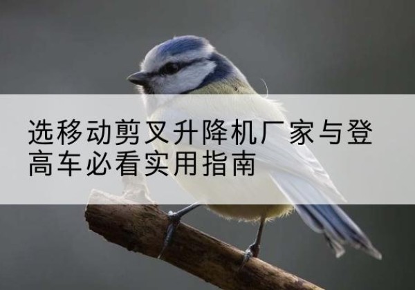 西林电动升降机厂家-选移动剪叉升降机厂家与登高车必看实用指南