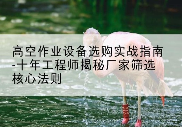 西林剪叉式升降机厂家-高空作业设备选购实战指南-十年工程师揭秘厂家筛选核心法则