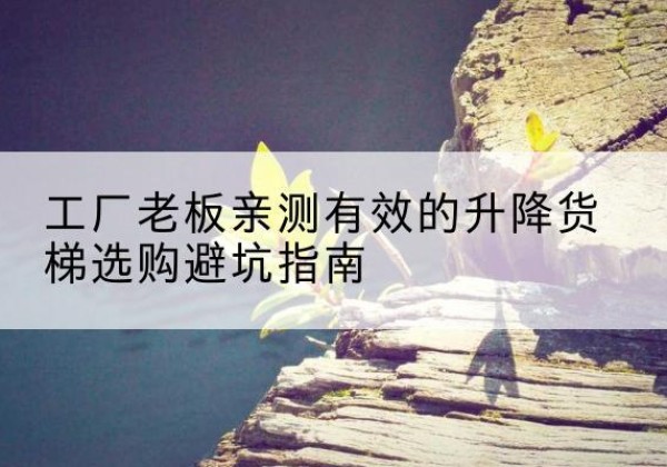 西林升降货梯怎么选-工厂老板亲测有效的升降货梯选购避坑指南